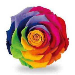 上海鮮花進(jìn)口報(bào)關(guān)